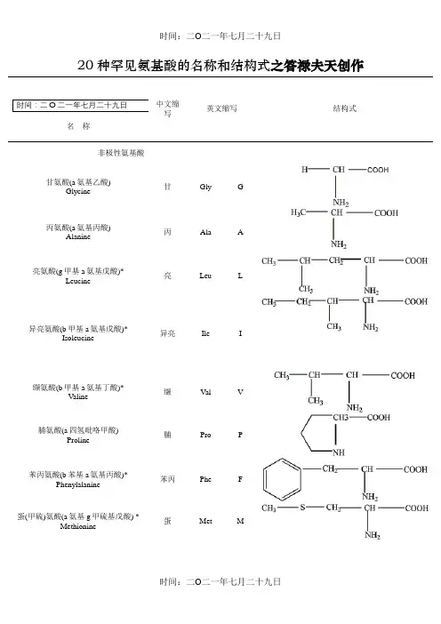 二十种氨基酸结构式