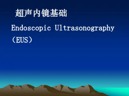 超声内镜基础