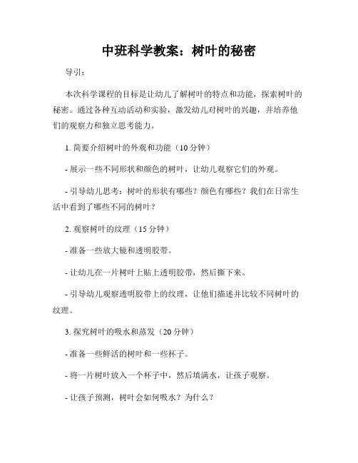 中班科学教案：树叶的秘密
