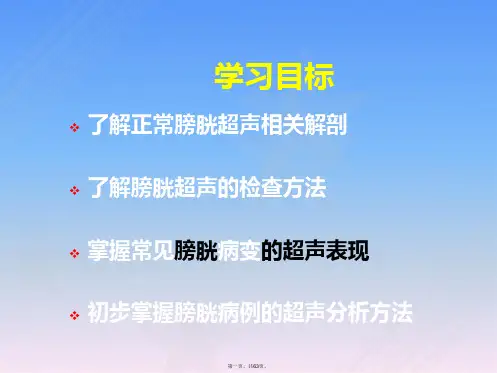 泌尿系超声之膀胱超声