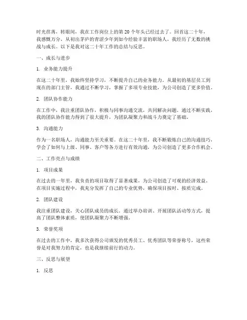 20年个人工作总结