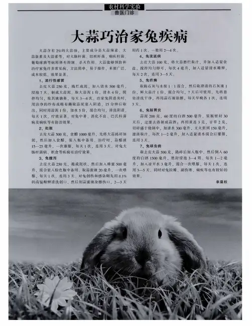 大蒜巧治家兔疾病