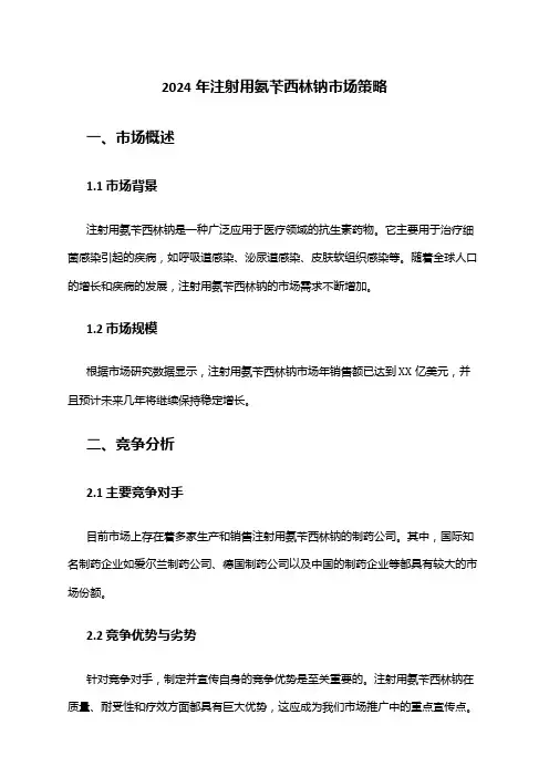 2024年注射用氨苄西林钠市场策略