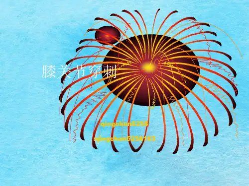 膝关节穿刺部位ppt课件