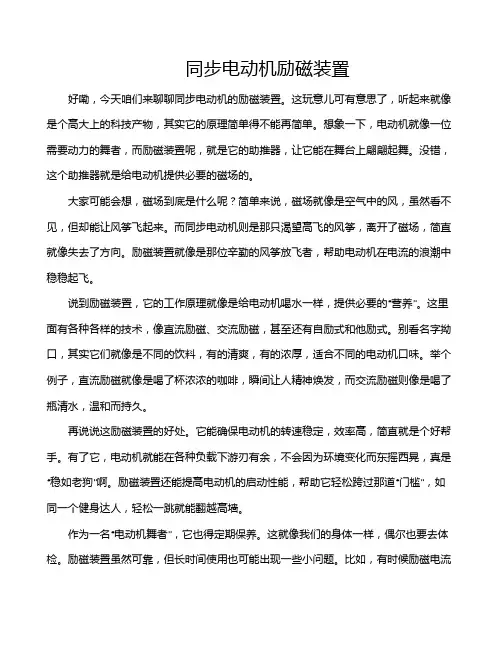 同步电动机励磁装置