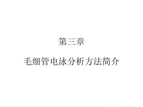第三章 毛细管电泳分析