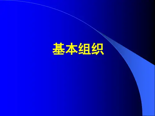 第二章上皮组织精品文档
