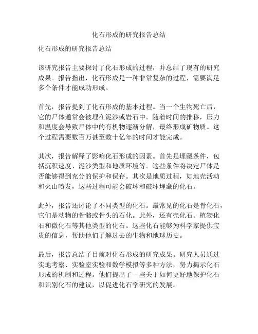 化石形成的研究报告总结