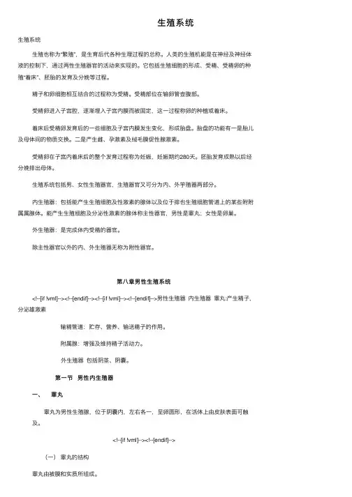 生殖系统——精选推荐