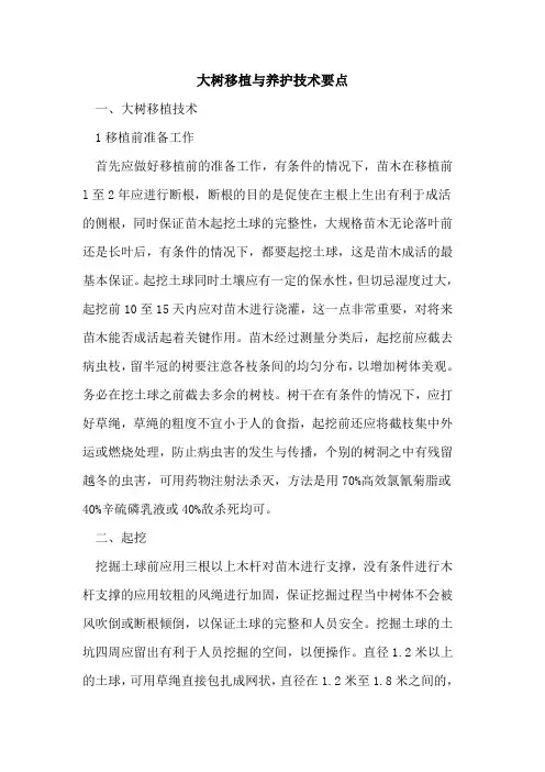 大树移植与养护技术要点