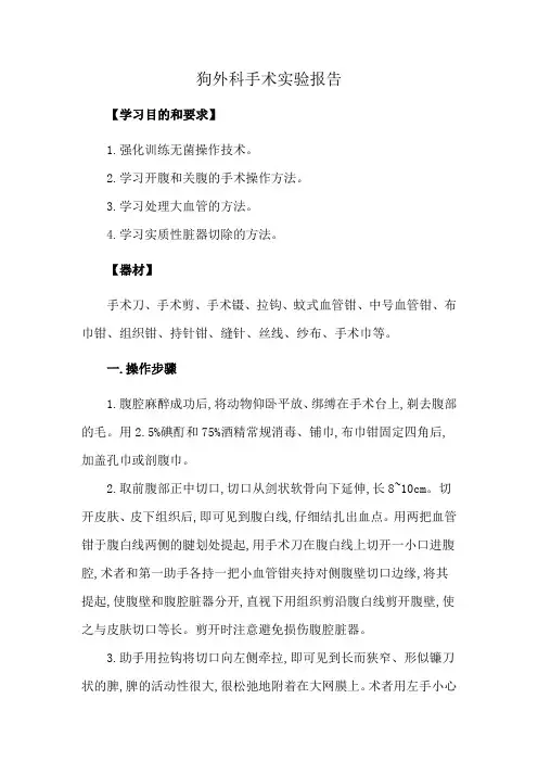 狗外科手术实验报告