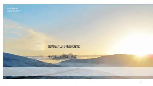 医院运行精细化管理ppt课件