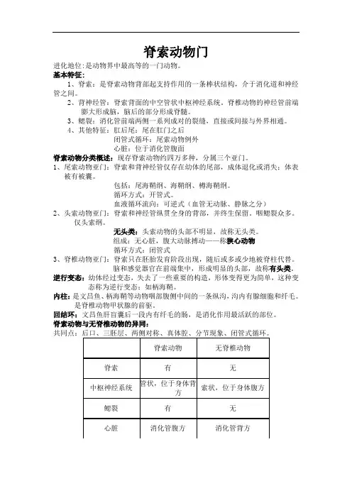 脊索动物门详解