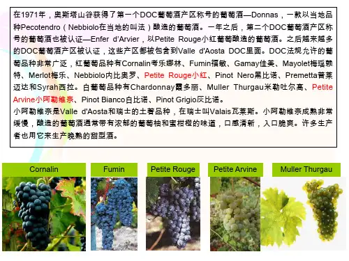 意大利葡萄酒产区介绍