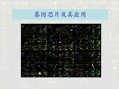 生物芯片ppt-基因芯片的研究和应用