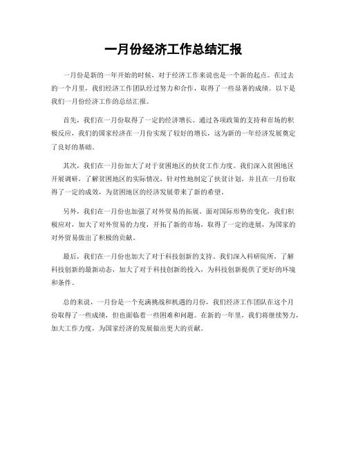 一月份经济工作总结汇报