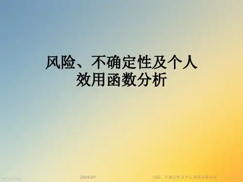 风险、不确定性及个人效用函数分析