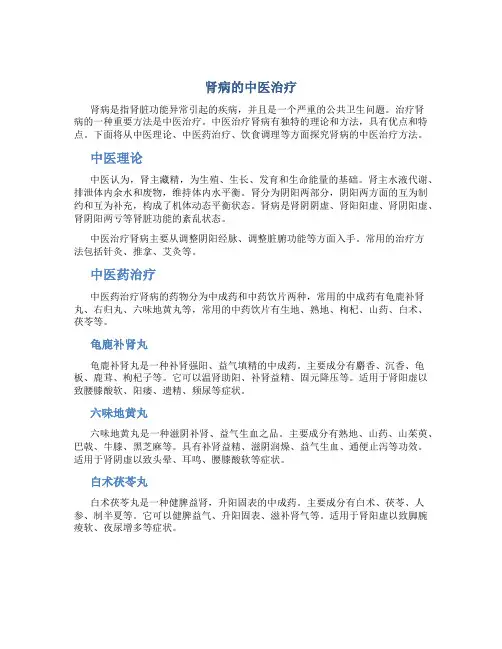 肾病的中医治疗