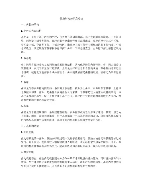 鼻腔结构知识点总结