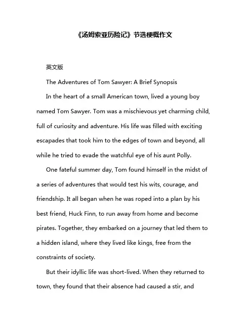 《汤姆索亚历险记》节选梗概作文