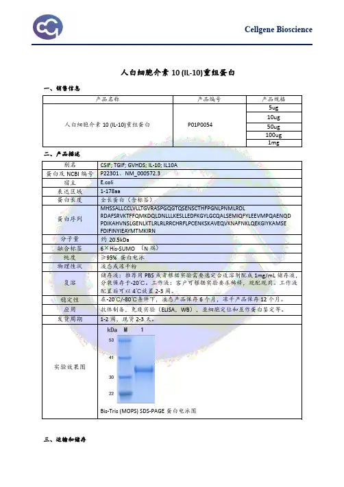 人白细胞介素10 (IL-10)重组蛋白