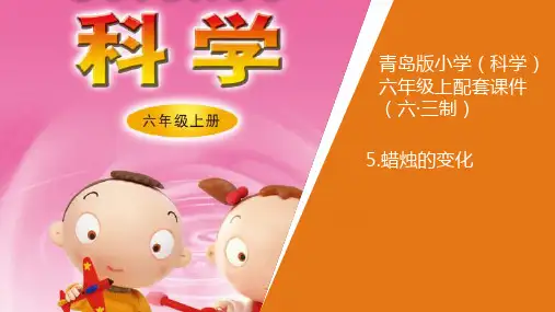 青岛版科学六年级上册5《蜡烛的变化》教学课件