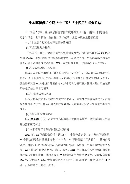生态环境保护分局“十三五”“十四五”规划总结