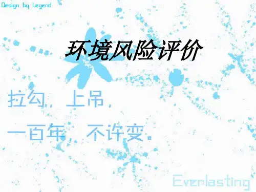 环境风险评价专题培训课件