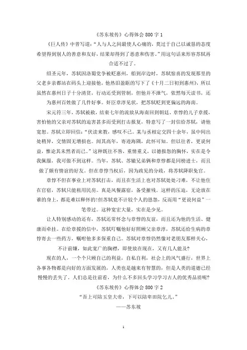 精选有关于《苏东坡传》精选5篇心得体会800字