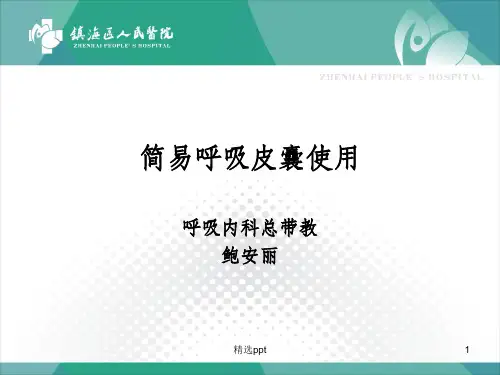 呼吸皮囊PPT课件