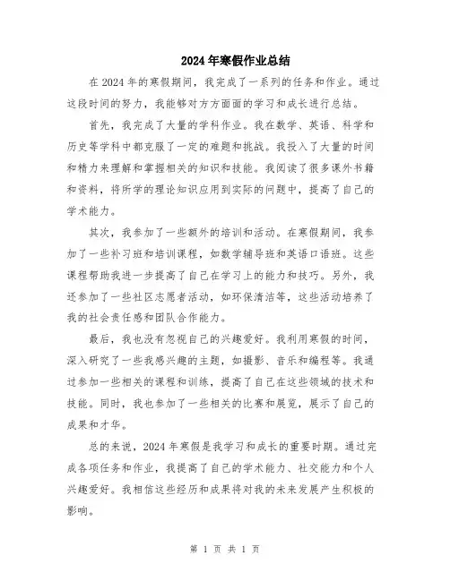 2024年寒假作业总结
