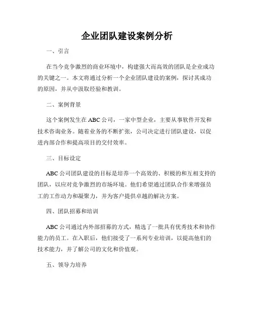 企业团队建设案例分析