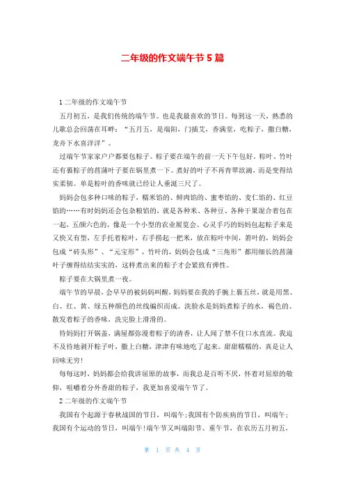 二年级的作文端午节5篇
