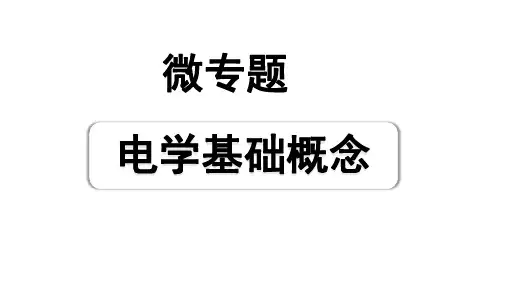 2024长沙中考物理二轮专题复习 微专题 电学基础概念 (课件)
