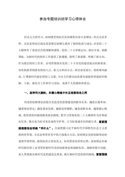 参加专题培训班学习心得体会