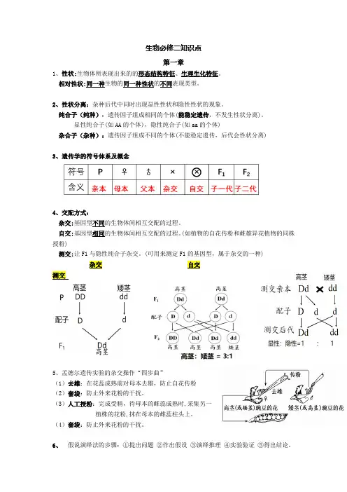 第1章遗传因子的发现基础知识-高一下学期生物人教版必修2