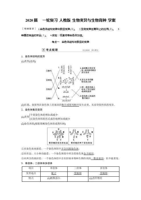 2020年高考   一轮复习 人教版 生物变异与生物育种 学案.doc