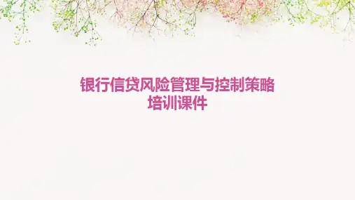 银行信贷风险管理与控制策略培训课件
