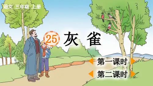 部编新人教版小学语文三年级上册《灰雀》PPT课件