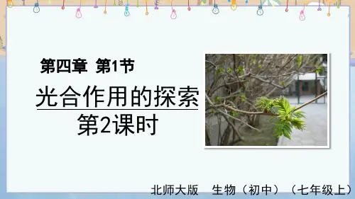 新北师大版7年级上册生物 第4章 绿色开花植物的生活方式 第1节 光合作用 第2课时 光合作用的探索