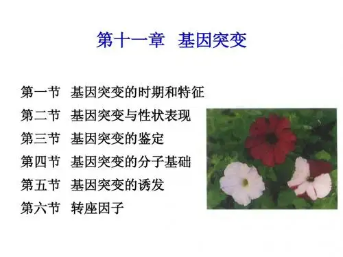 第11章 基因突变
