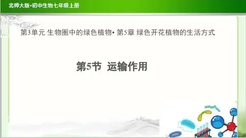 《 运输作用》示范公开课教学课件【生物北师大七年级上册】