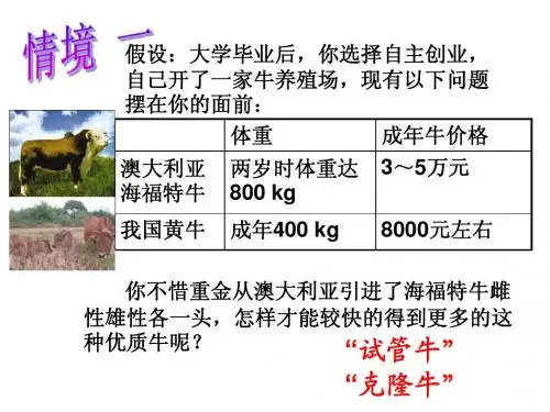 胚胎移植与胚胎分割胚胎干细胞