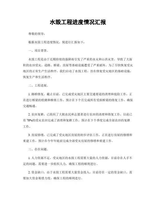 水毁工程进度情况汇报