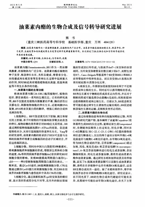 油菜素内酯的生物合成及信号转导研究进展