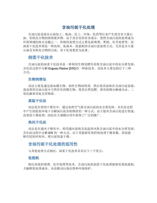 含油污泥干化处理