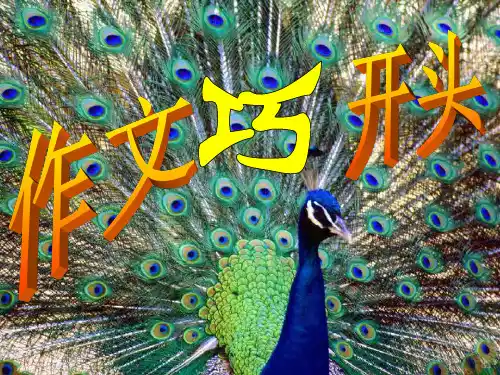 初中作文指导：巧用修辞开头