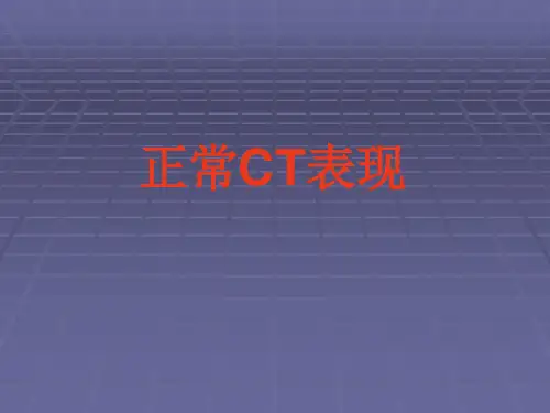 正常胸肺部CT影像学表现