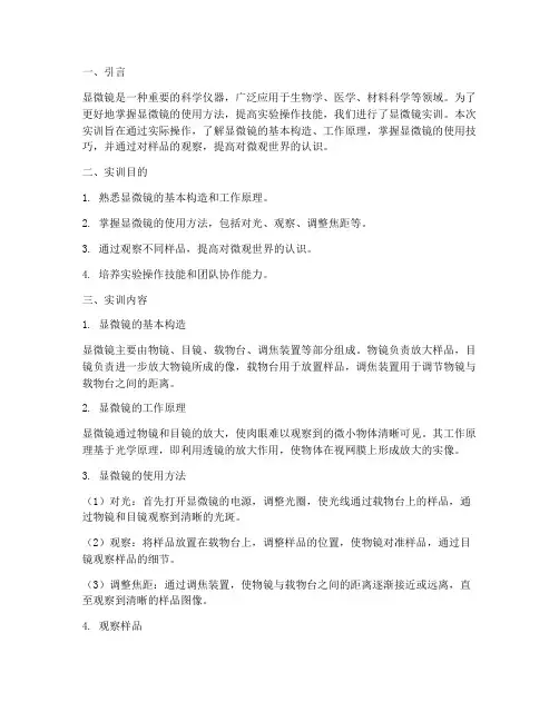 显微镜实训结果报告