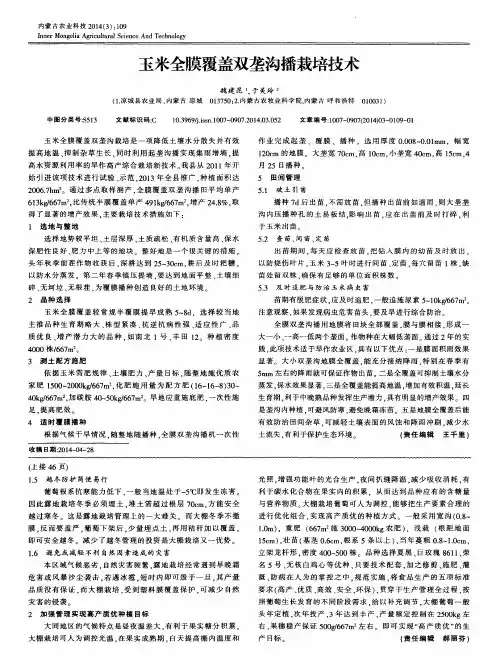 玉米全膜覆盖双垄沟播栽培技术